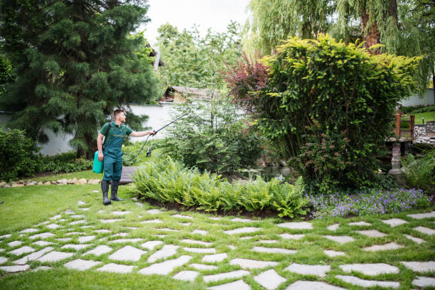 Best Ant Control Services  in Beloit, KS