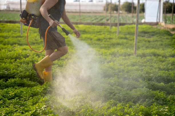 Best Best Pest Control Companies  in Beloit, KS