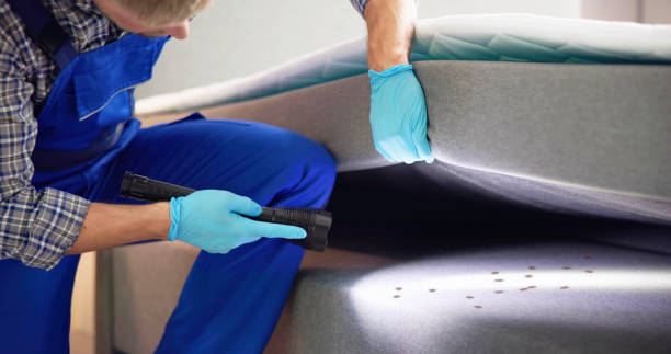 Best Pest Control for Homes  in Beloit, KS