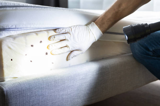 Best Commercial Pest Control Services  in Beloit, KS