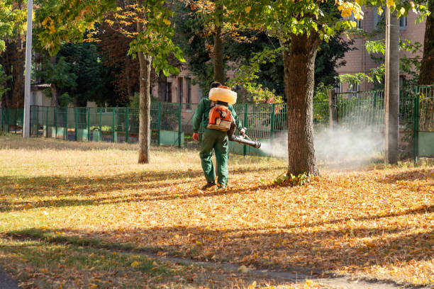 Best Exterminator Services  in Beloit, KS