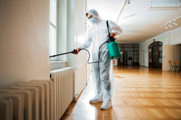 Best Insect Control  in Beloit, KS