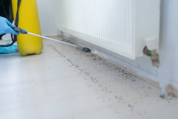 Beloit, KS Pest Control Company